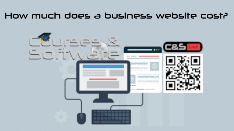 How much does a business website cost?