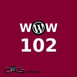 Winning WordPress Websites 102